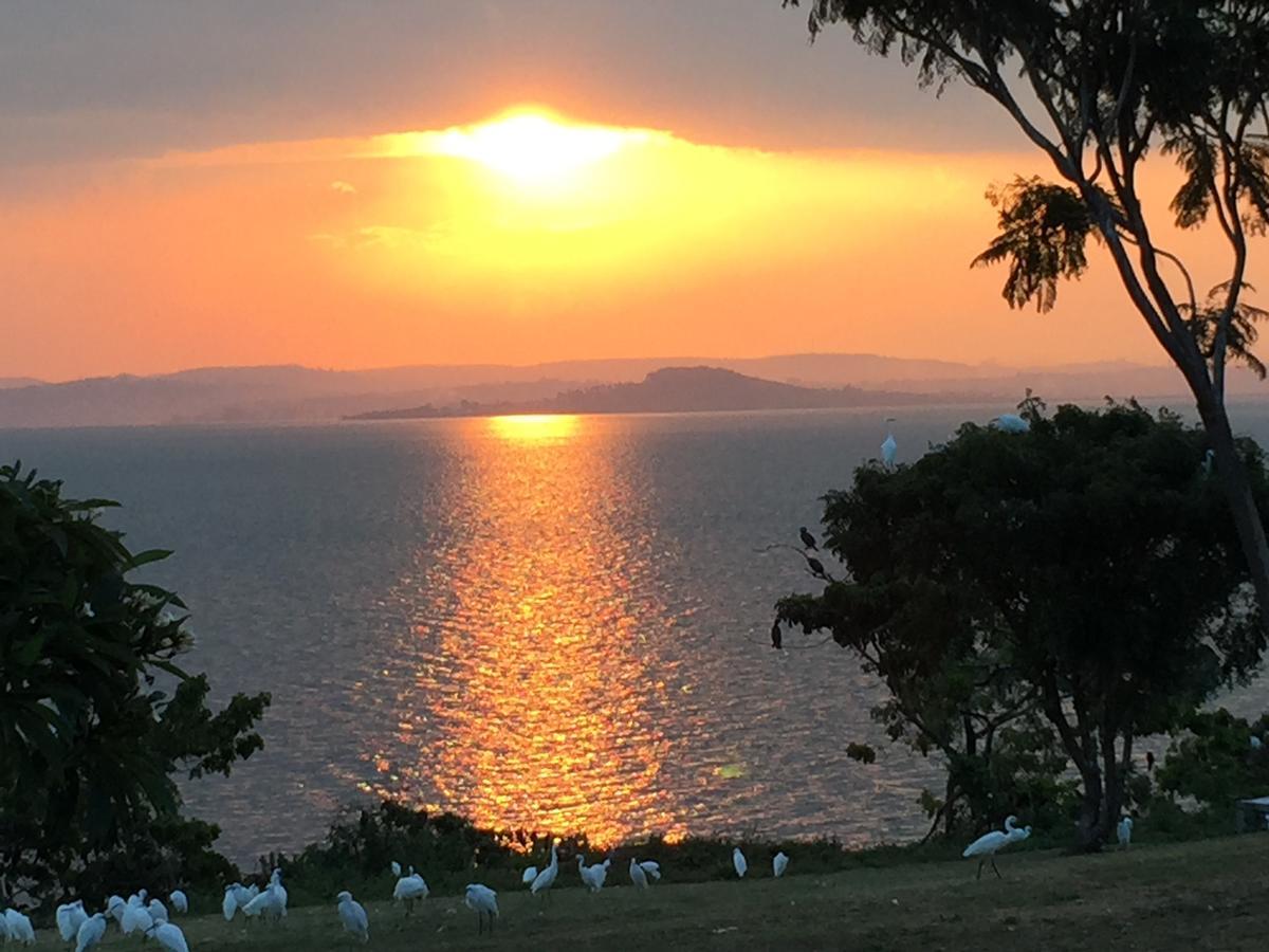 Samuka Island Retreat Villa Jinja Eksteriør billede
